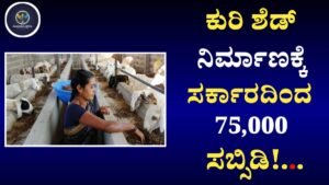 Kuri Shed Subsidy Scheme