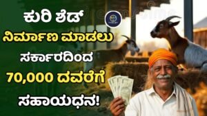 Kuri Shed Subsidy Scheme