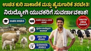 Free Sheep Farming Update