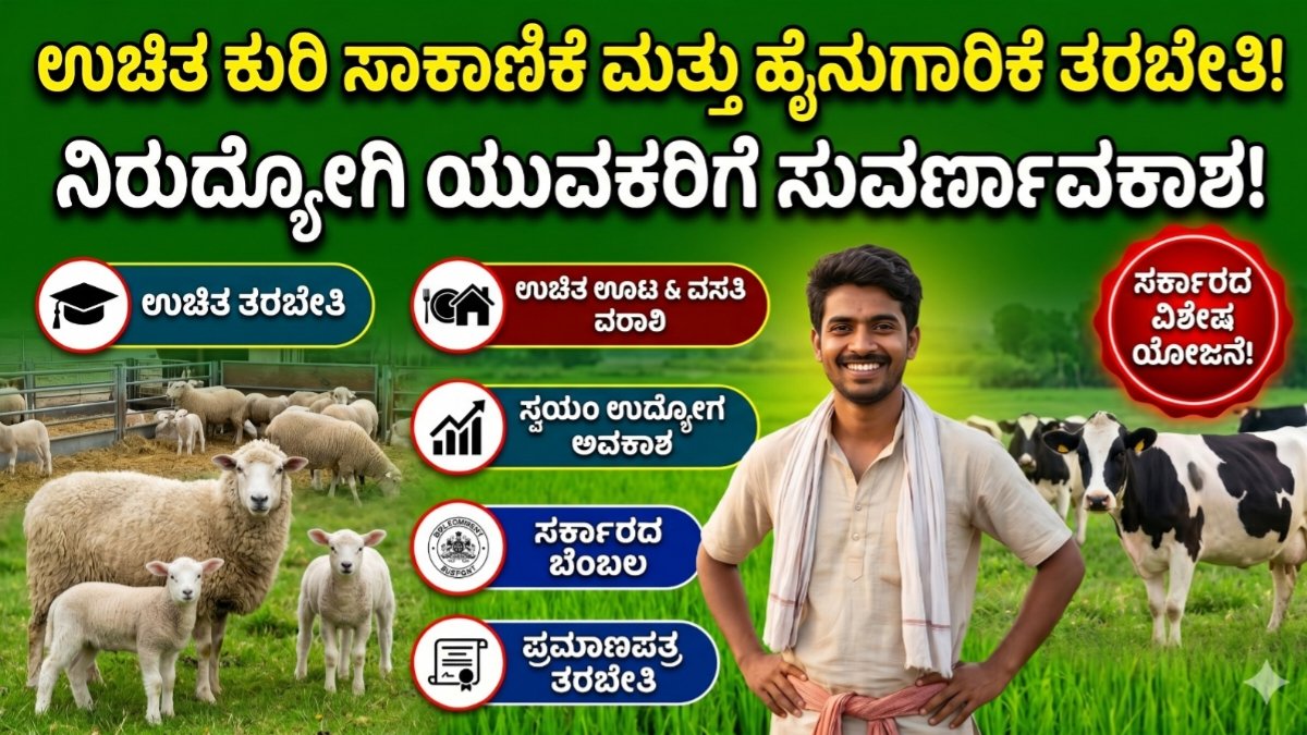 Free Sheep Farming Update